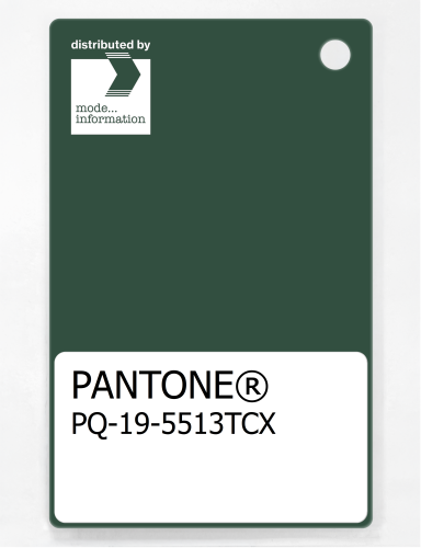 Artikelbild des Artikels “PANTONE® PLASTIC STANDARD CHIP PQ 19-5513 TCX Dark Green “
