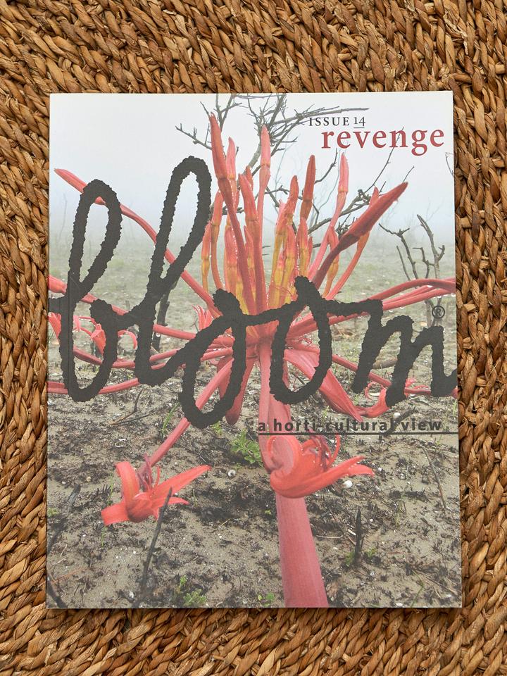 Artikelbild 1 des Artikels “Bloom no. 14 - Revenge -  “