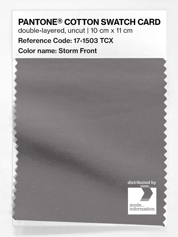 Artikelbild 1 des Artikels “PANTONE® COTTON SWATCH CARD 17-1503 TCX Storm Front “