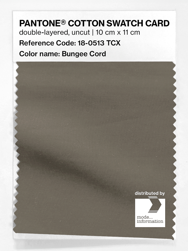Product image 1 of the product “PANTONE® COTTON SWATCH CARD 18-0513 TCX Bungee Cord ”