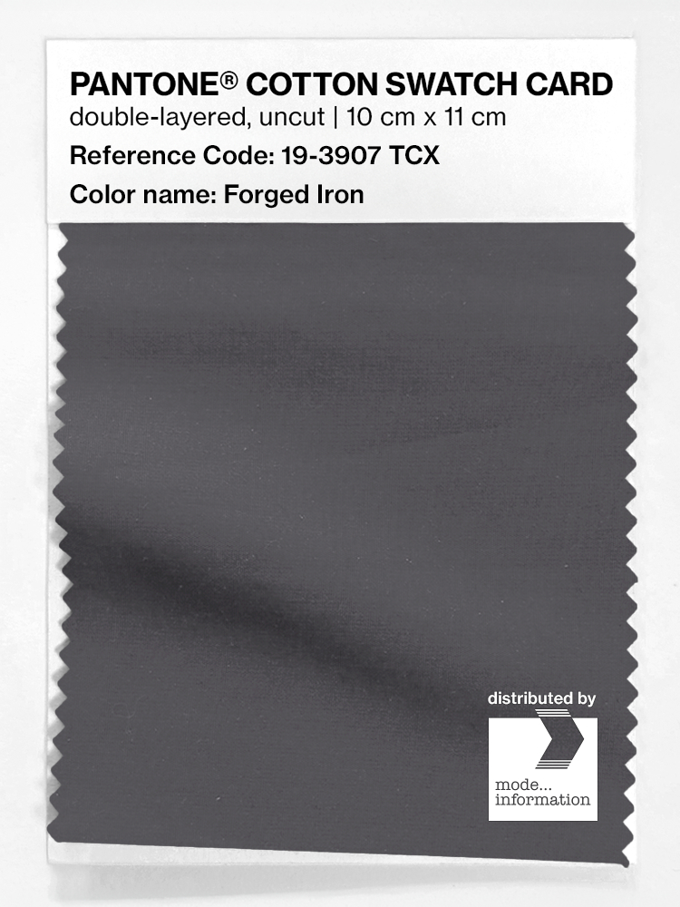 Artikelbild 1 des Artikels “PANTONE® COTTON SWATCH CARD 19-3907 TCX Forged Iron “