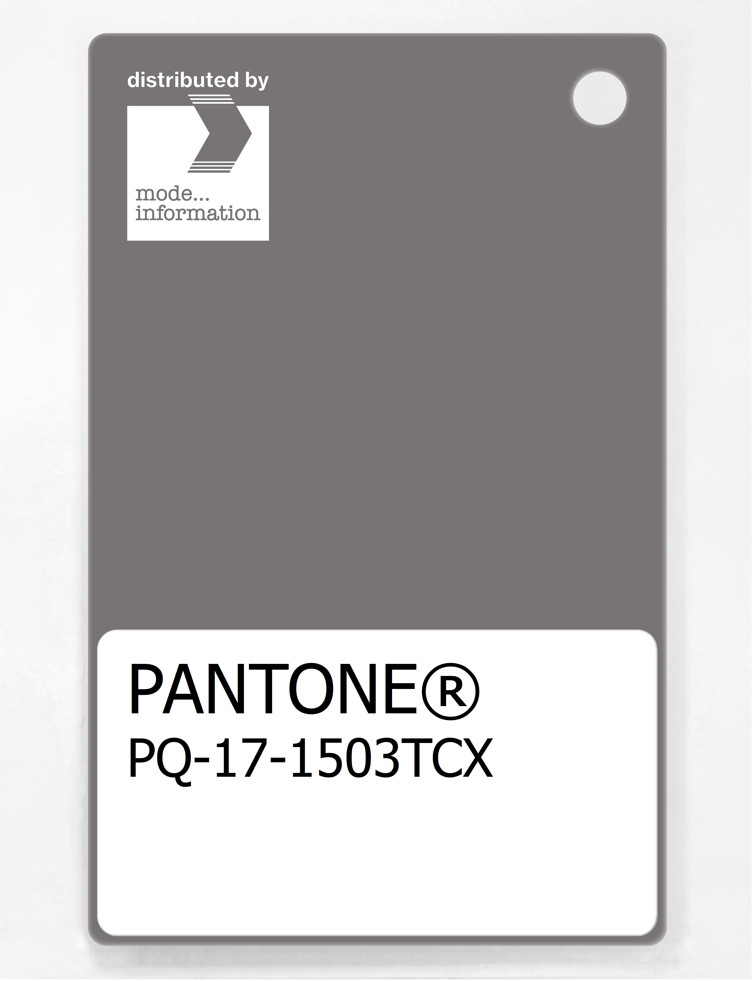 Artikelbild 1 des Artikels “PANTONE® PLASTIC STANDARD CHIP PQ 17-1503 TCX Storm Front “
