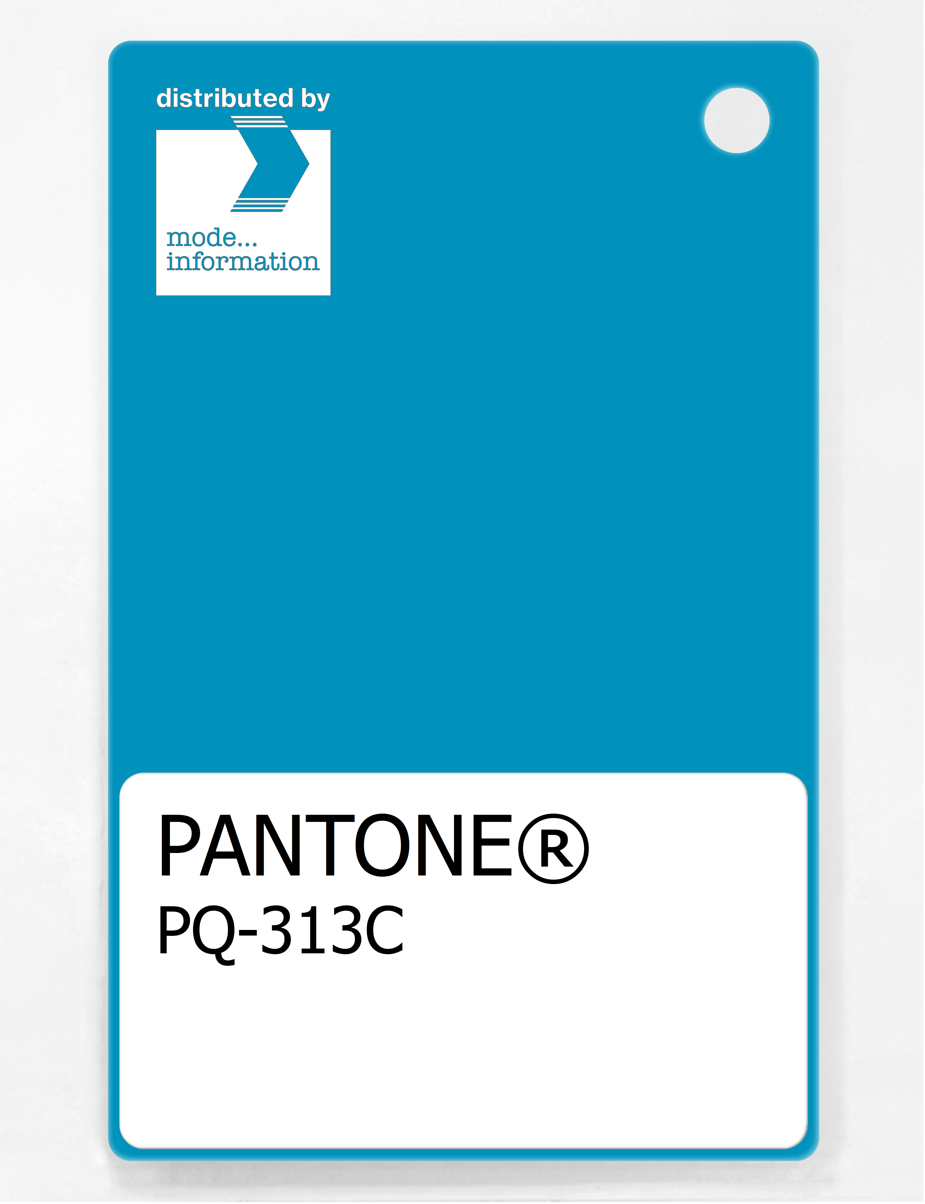Product image 1 of the product “PANTONE® PLASTIC STANDARD CHIP PQ 313C ”