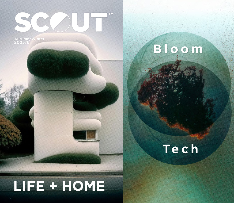Artikelbild 1 des Artikels “Scout Life A/W 2025/2026 “
