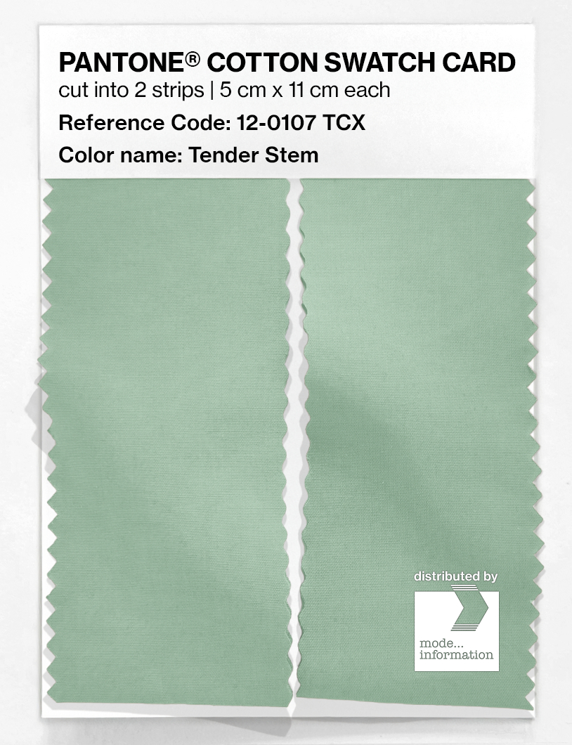 Artikelbild 2 des Artikels “PANTONE® COTTON SWATCH CARD 12-0107 TCX Tender Stem “