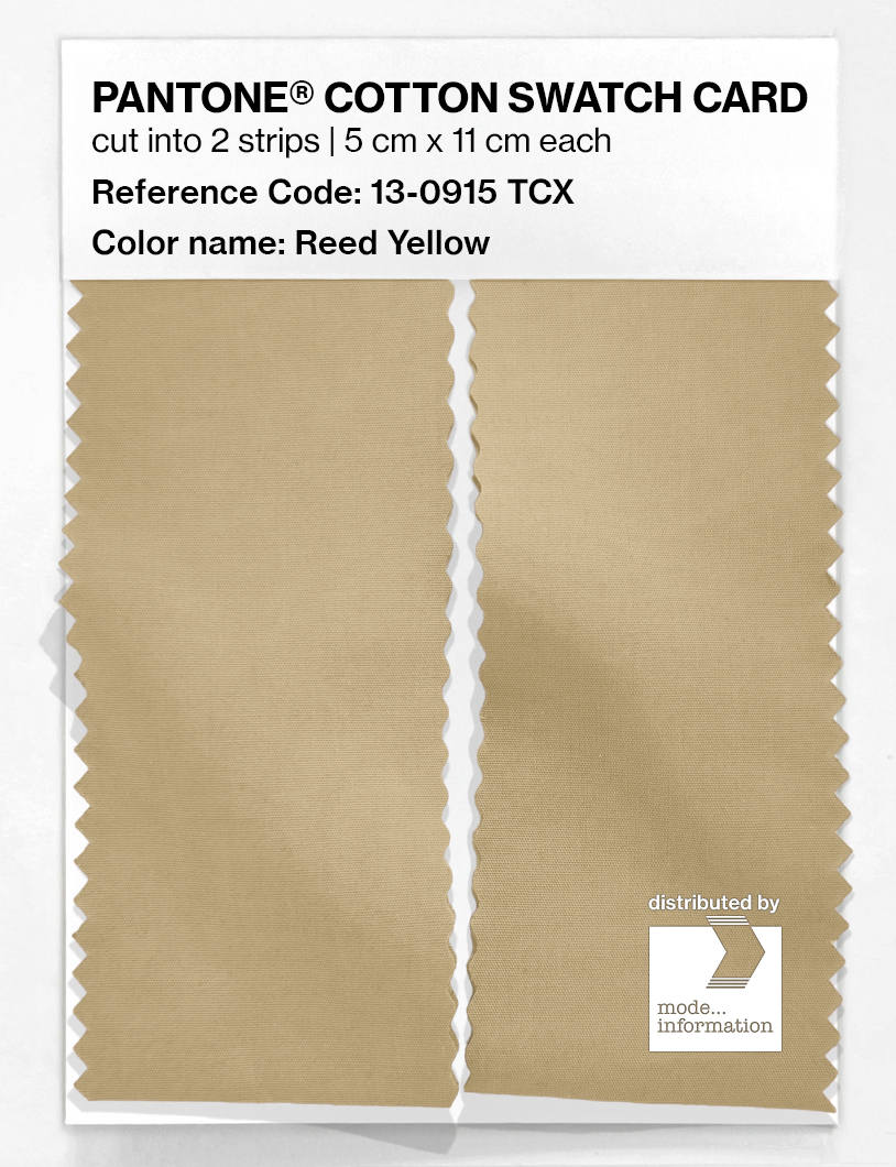 Product image 2 of the product “PANTONE® COTTON SWATCH CARD 13-0915 TCX Reed Yellow ”