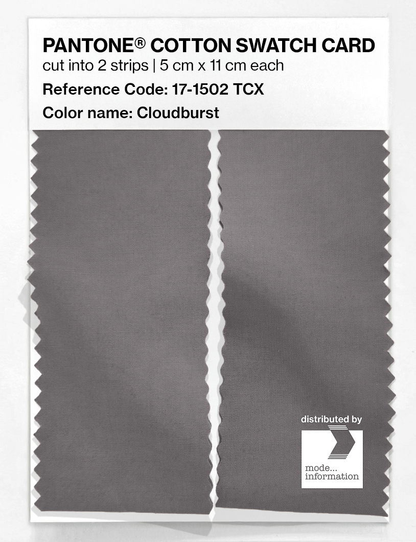 Artikelbild 2 des Artikels “PANTONE® COTTON SWATCH CARD 17-1502 TCX Cloudburst “