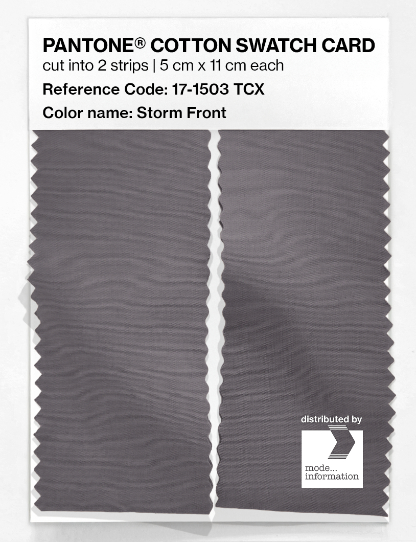 Artikelbild 2 des Artikels “PANTONE® COTTON SWATCH CARD 17-1503 TCX Storm Front “