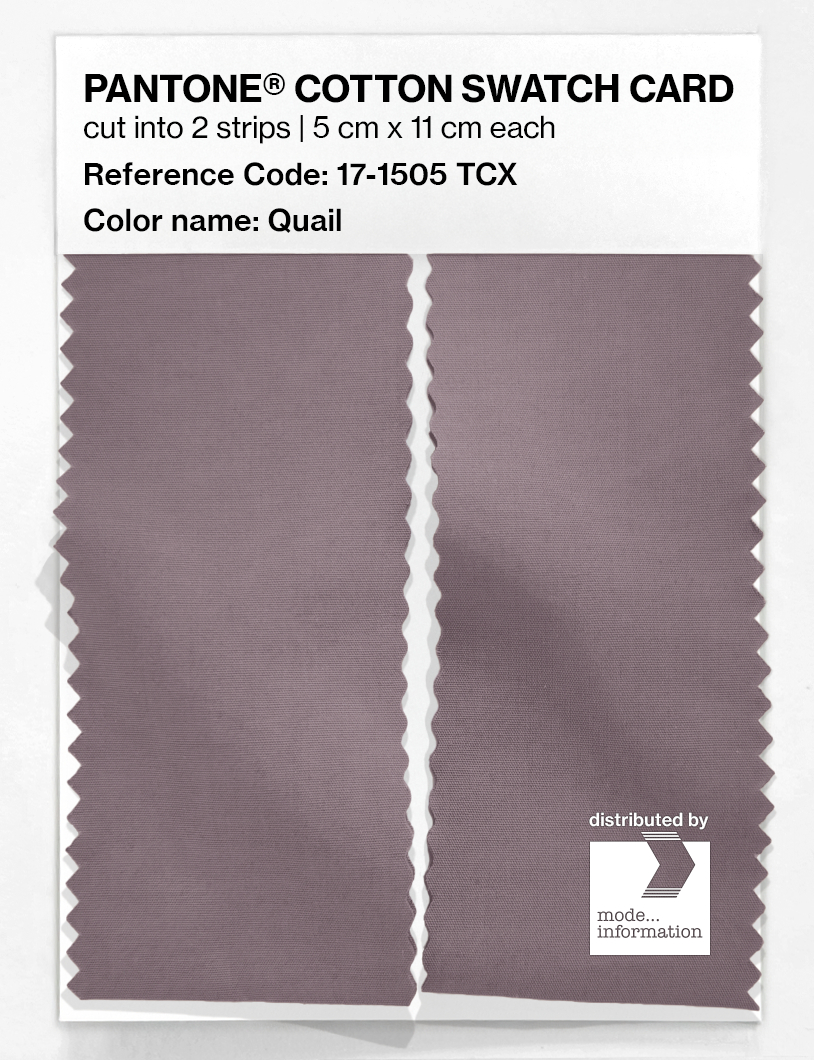 Product image 2 of the product “PANTONE® COTTON SWATCH CARD 17-1505 TCX Quail ”