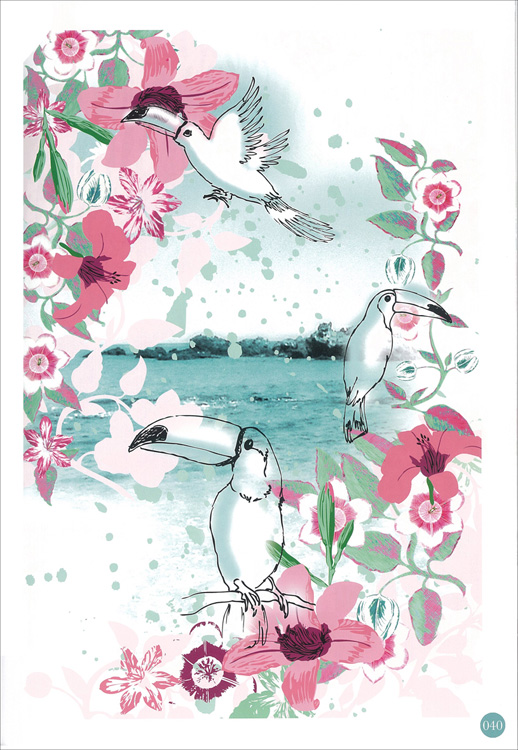 Artikelbild 3 des Artikels “GraphiCollection Artwork Vol. 2 incl. DVD “