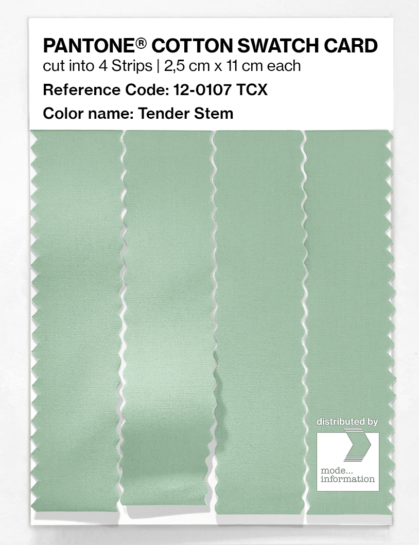 Artikelbild 3 des Artikels “PANTONE® COTTON SWATCH CARD 12-0107 TCX Tender Stem “