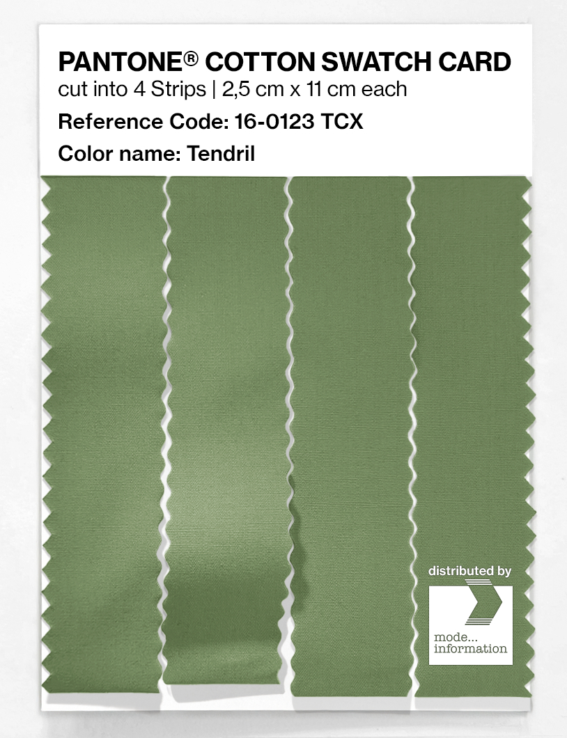 Product image 3 of the product “PANTONE® COTTON SWATCH CARD 16-0123 TCX Tendril ”