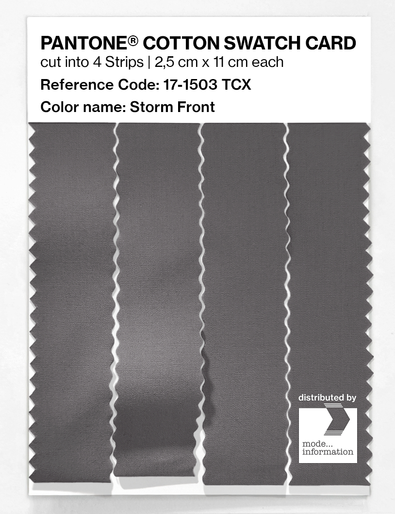 Artikelbild 3 des Artikels “PANTONE® COTTON SWATCH CARD 17-1503 TCX Storm Front “