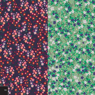 Artikelbild 4 des Artikels “Color & Byte Petite Flowers incl. DVD “