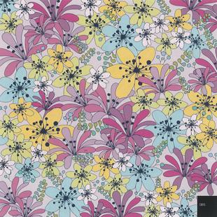 Artikelbild 5 des Artikels “Color & Byte Floral incl. DVD “