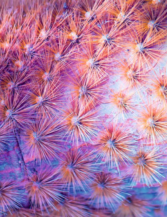 Artikelbild 5 des Artikels “Viewpoint Colour no. 05  “