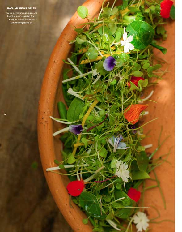 Artikelbild 6 des Artikels “Bloom no. 22  “