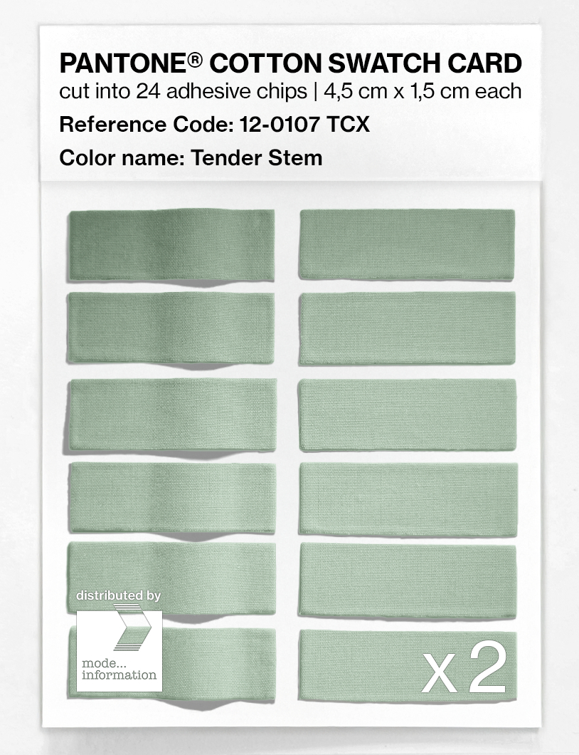Artikelbild 6 des Artikels “PANTONE® COTTON SWATCH CARD 12-0107 TCX Tender Stem “